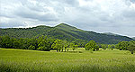 Great Smoky Mtns NP